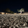 Path, Valle dei Templi, Sicily